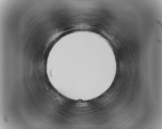 X0000097801315200804110913