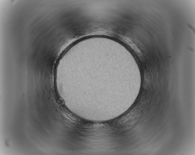 X0000097801316200804110913