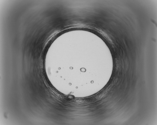 X0000097801318200804110913