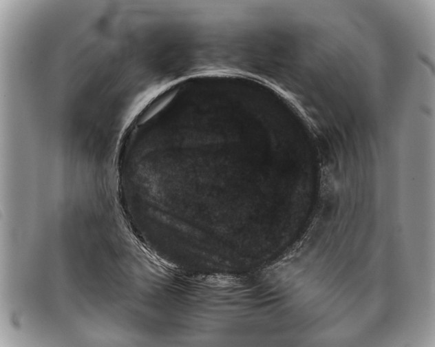 X0000097801319200804110914