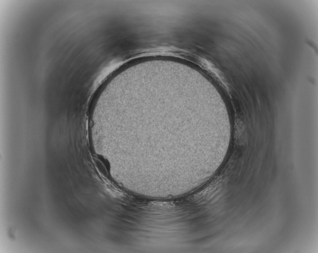 X0000097801320200804110914