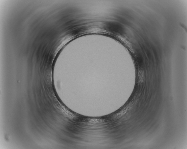 X0000097801322200804110914