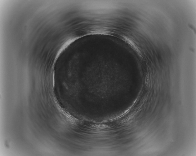 X0000097801323200804110914