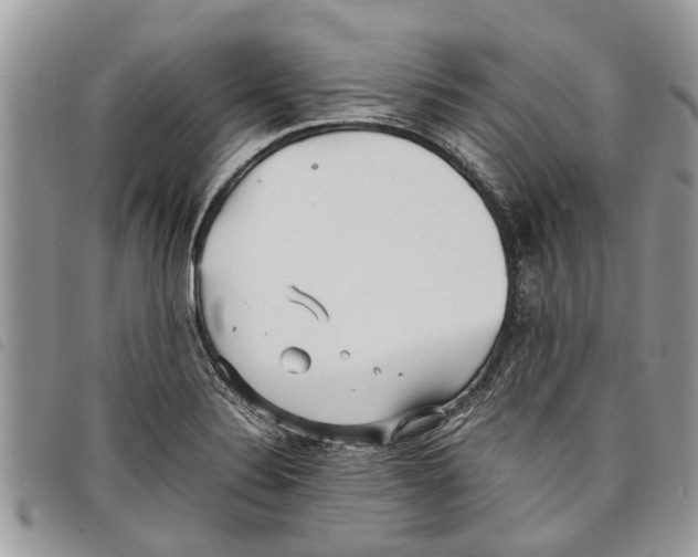 X0000097801324200804110914