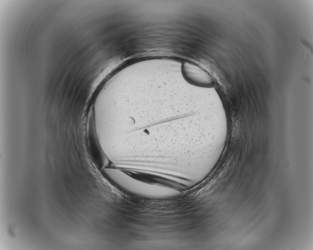 X0000097801325200804110914