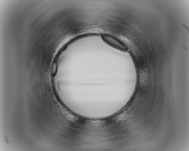 X0000097801326200804110914