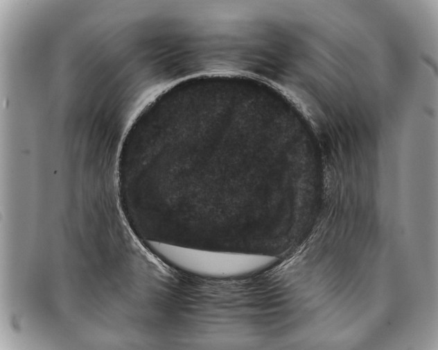 X0000097801327200804110914