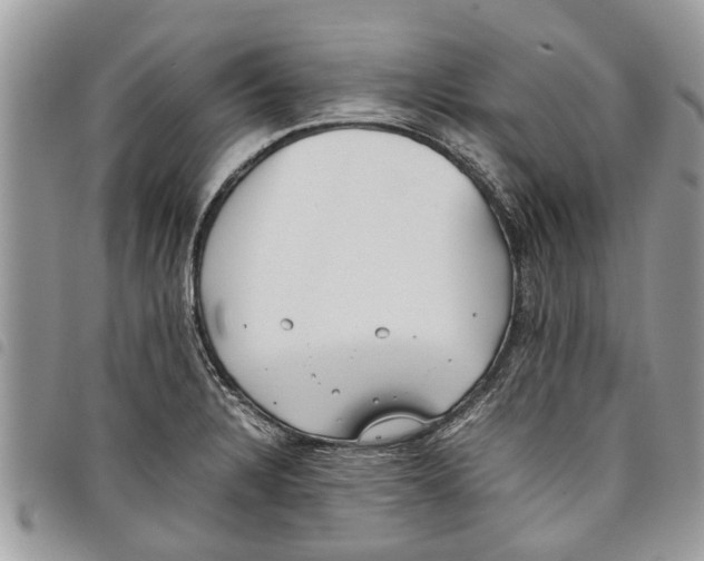 X0000097801328200804110914