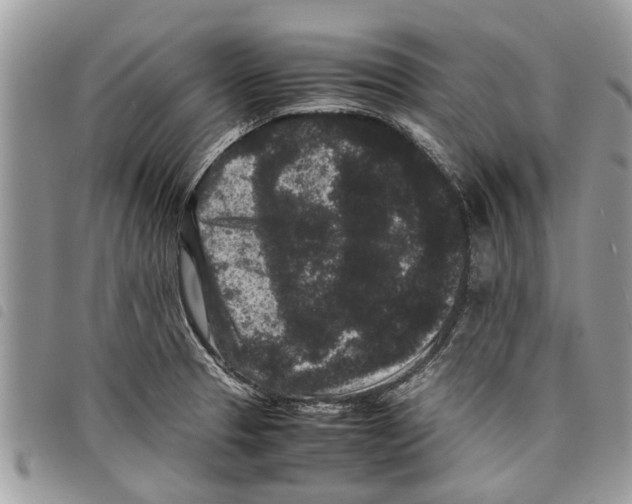 X0000097801329200804110914