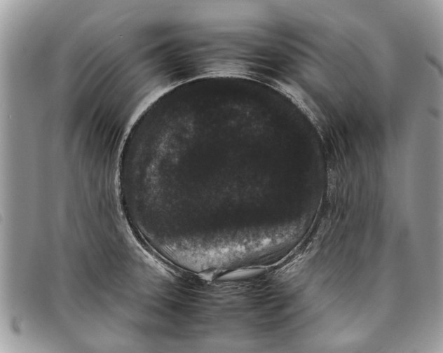 X0000097801331200804110914