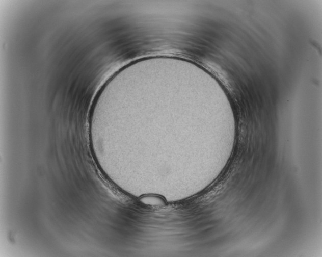 X0000097801332200804110914