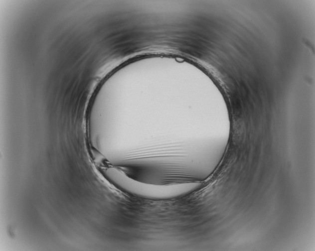 X0000097801335200804110914