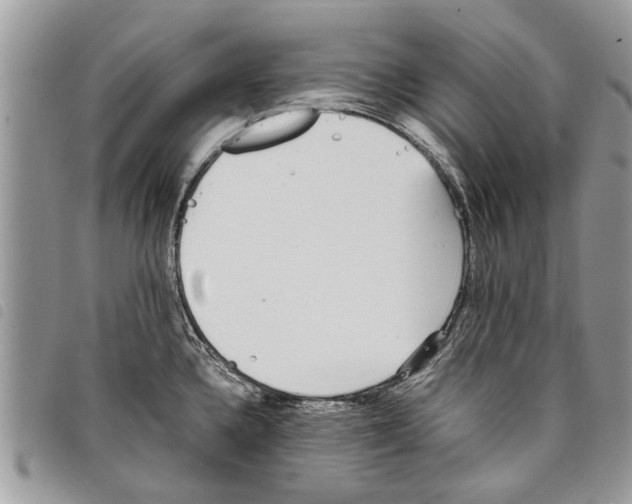 X0000097801336200804110914