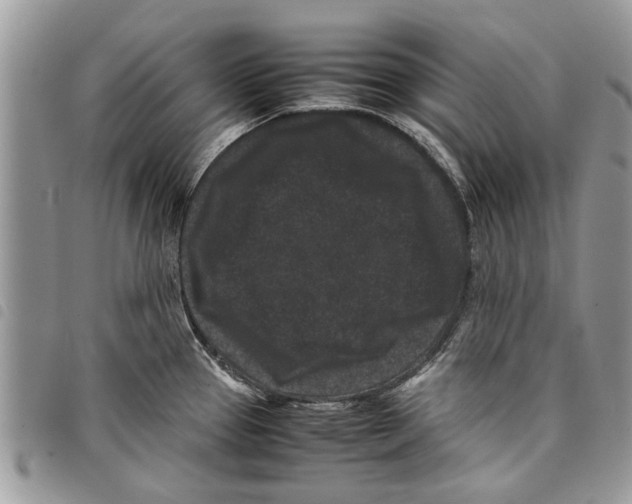 X0000097801337200804110914