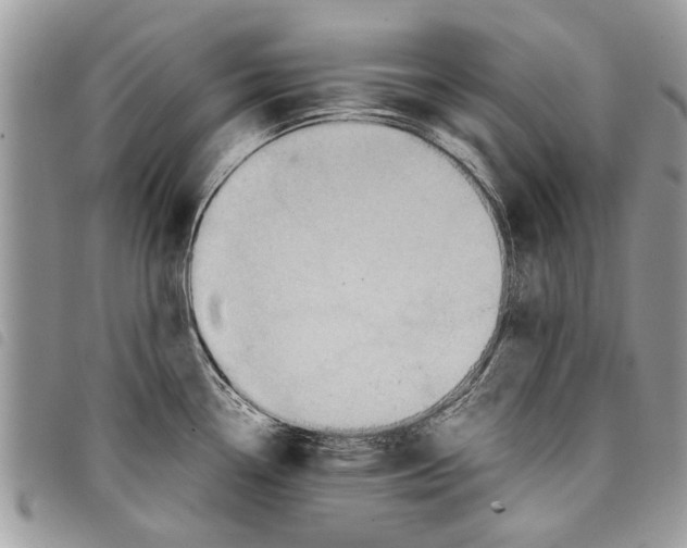 X0000097801338200804110914