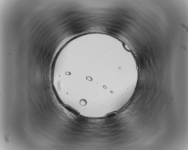 X0000097801339200804110914