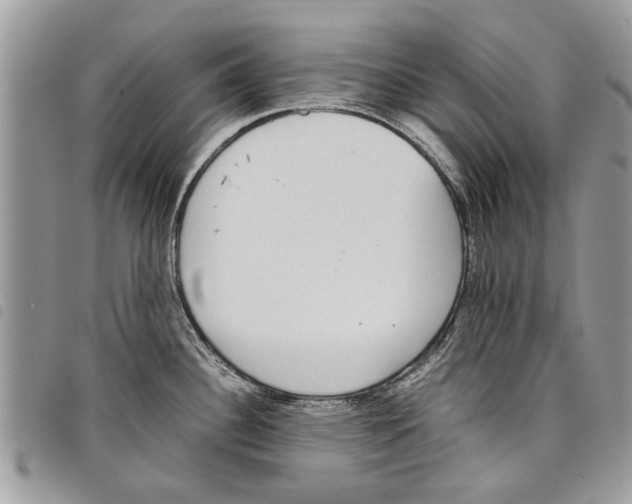 X0000097801340200804110914