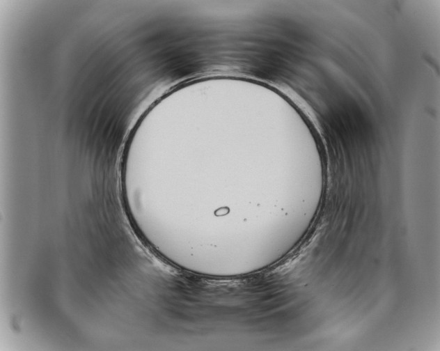 X0000097801341200804110914