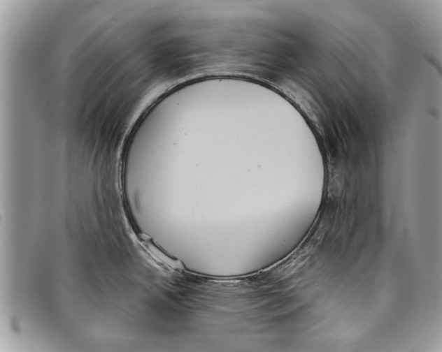 X0000097801342200804110914