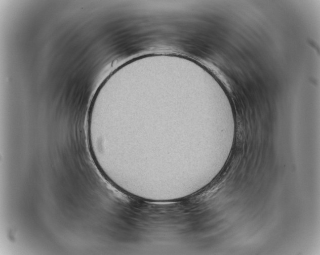 X0000097801343200804110914