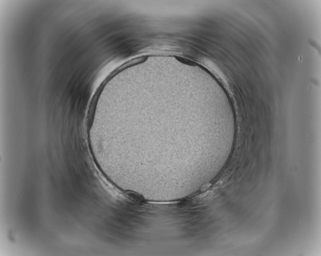 X0000097801344200804110914