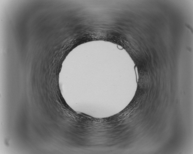 X0000097801345200804110913