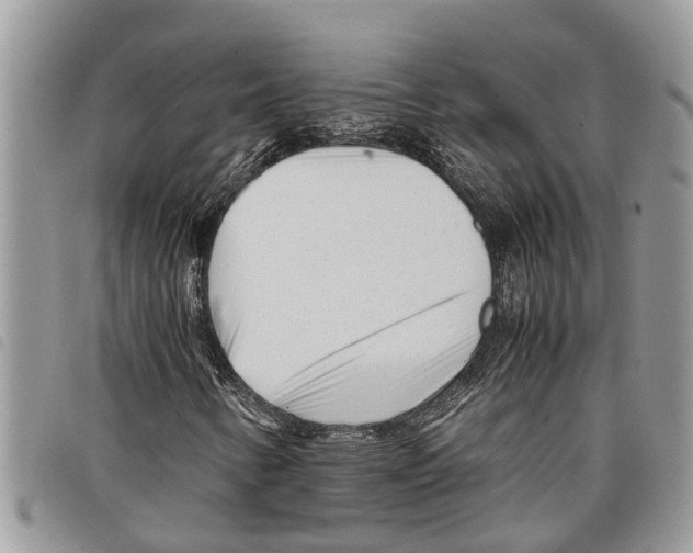 X0000097801346200804110913