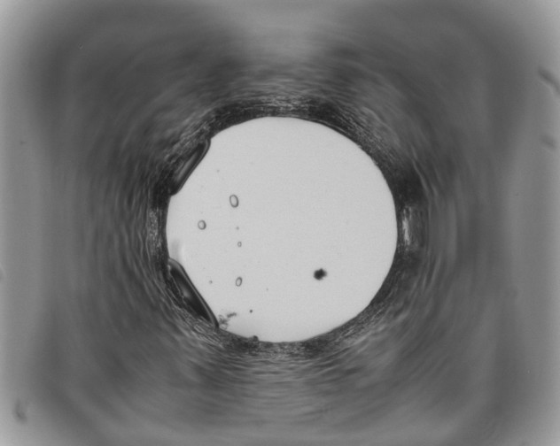 X0000097801347200804110913