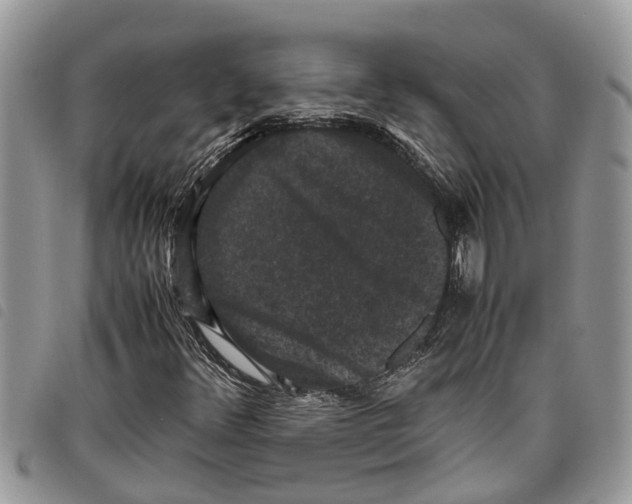 X0000097801348200804110913