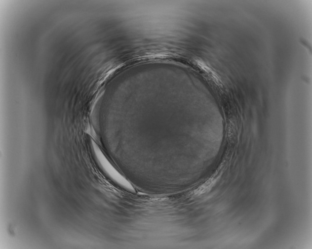 X0000097801353200804110913