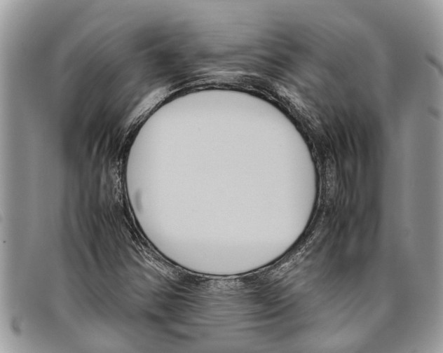 X0000097801354200804110913