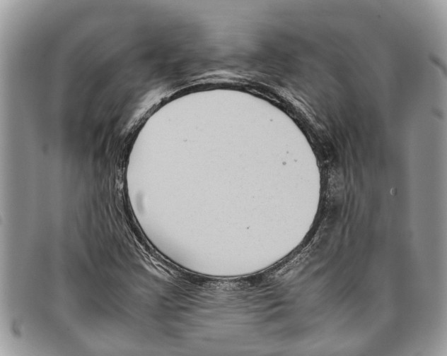 X0000097801355200804110913