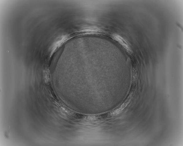 X0000097801357200804110913