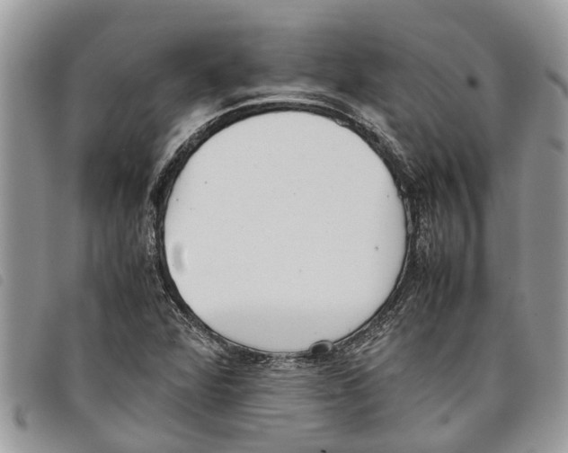 X0000097801360200804110913