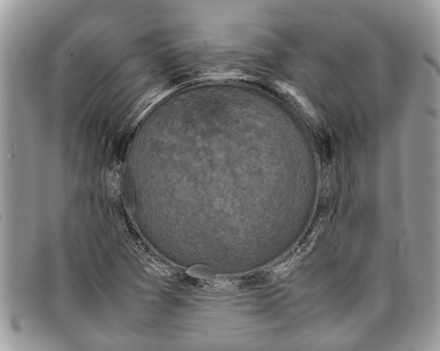 X0000097801361200804110913