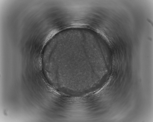 X0000097801362200804110913