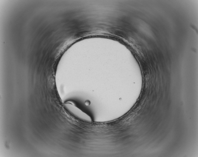 X0000097801363200804110913