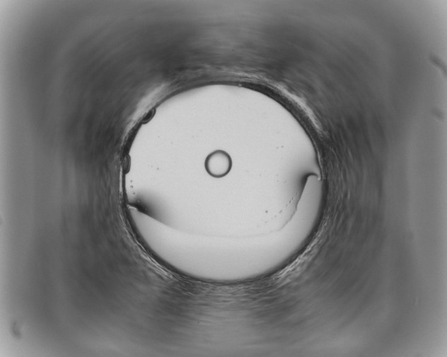 X0000097801365200804110913