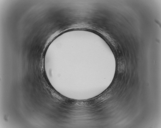 X0000097801366200804110913