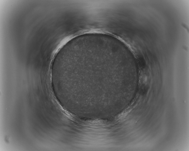 X0000097801367200804110913