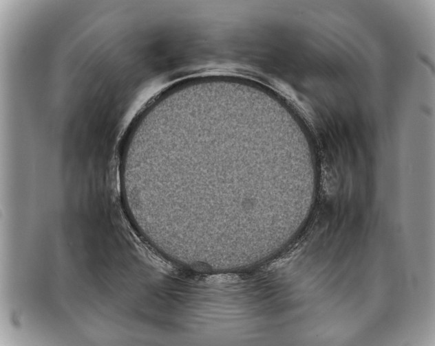 X0000097801368200804110913