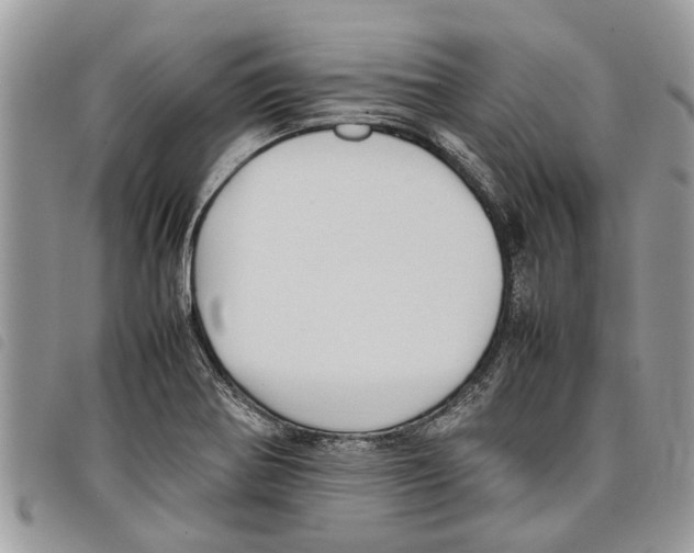 X0000097801370200804110913