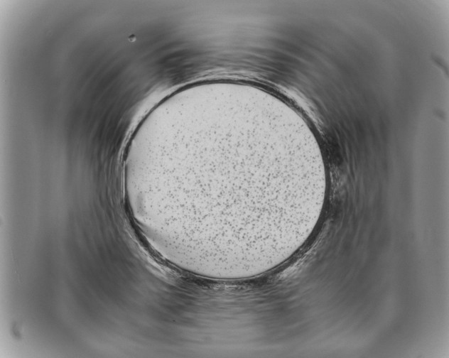 X0000097801371200804110913