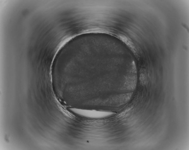 X0000097801372200804110913