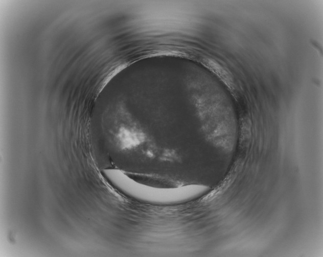 X0000097801377200804110913