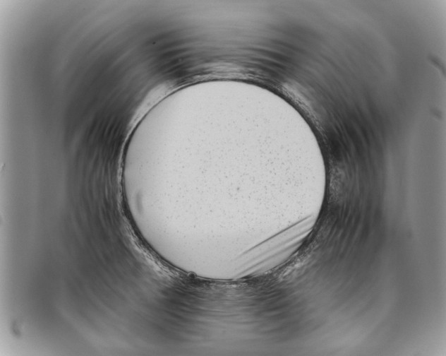 X0000097801378200804110913