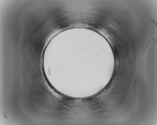 X0000097801379200804110913