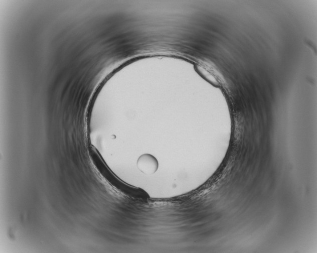 X0000097801380200804110913