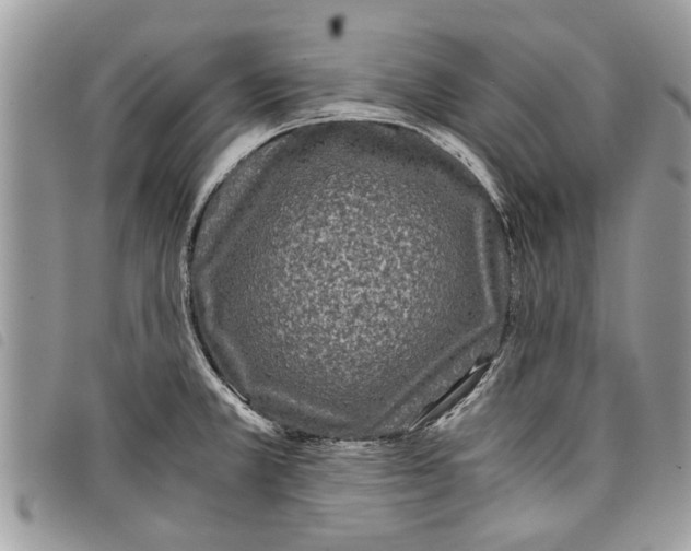 X0000097801381200804110913