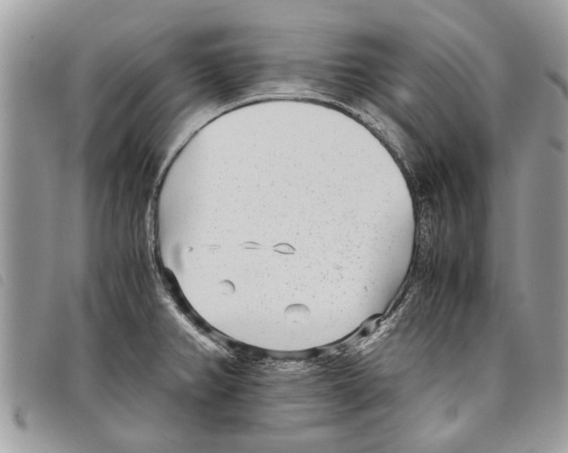 X0000097801382200804110913